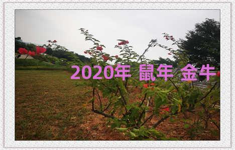 2020年 鼠年 金牛